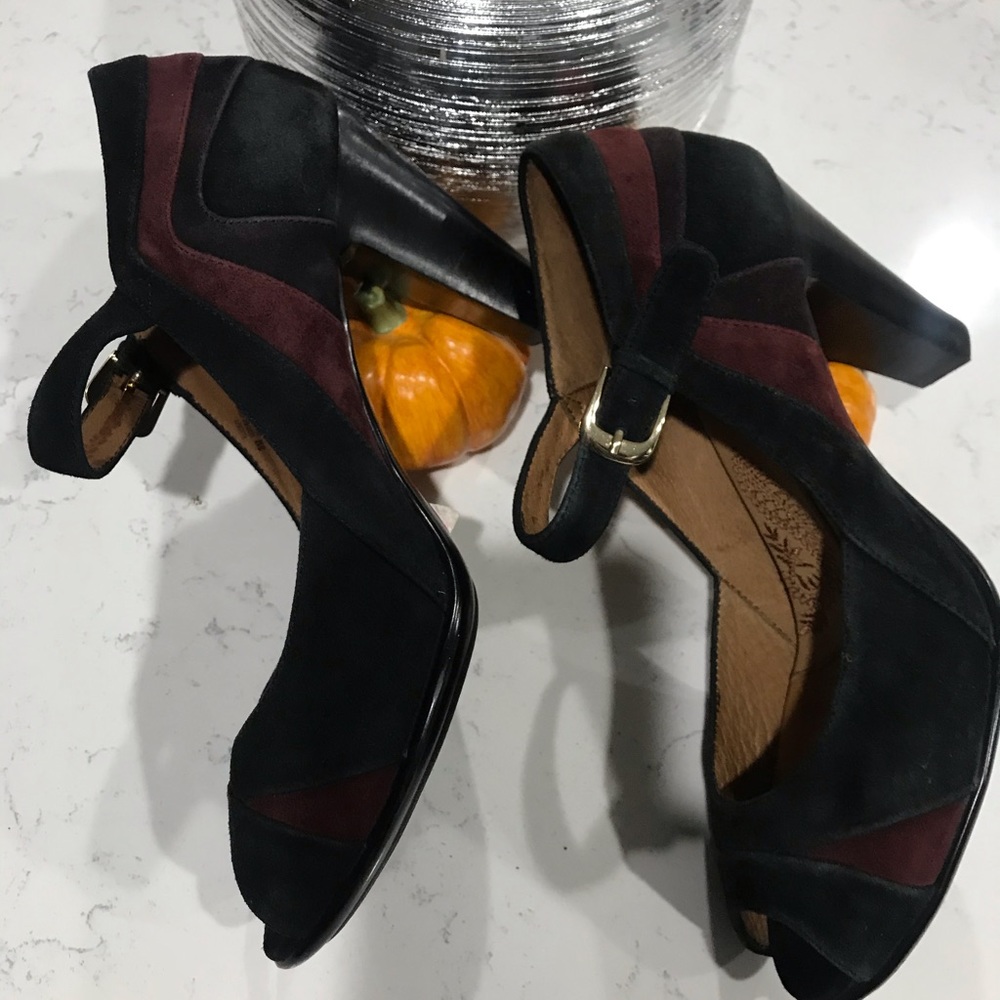 Sofft shoes